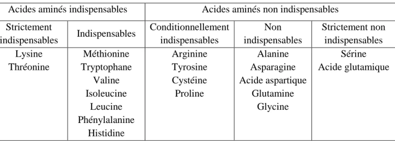 Tableau 1 : classement des acides aminés (Boutry et al. 2008)  Acides aminés indispensables  Acides aminés non indispensables  Strictement 