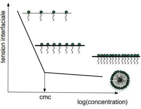 Figure 9 : Exemple de détermination de la CMC (23)