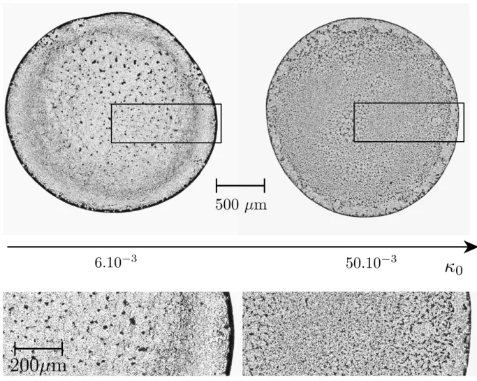 FIG. 4. Comparisons of two dried deposits from droplets containing different concentrations of PBS