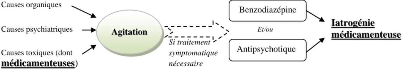 Figure 5 : Algorithme montrant les différents liens existant   entre l’agitation et l’iatrogénie médicamenteuse