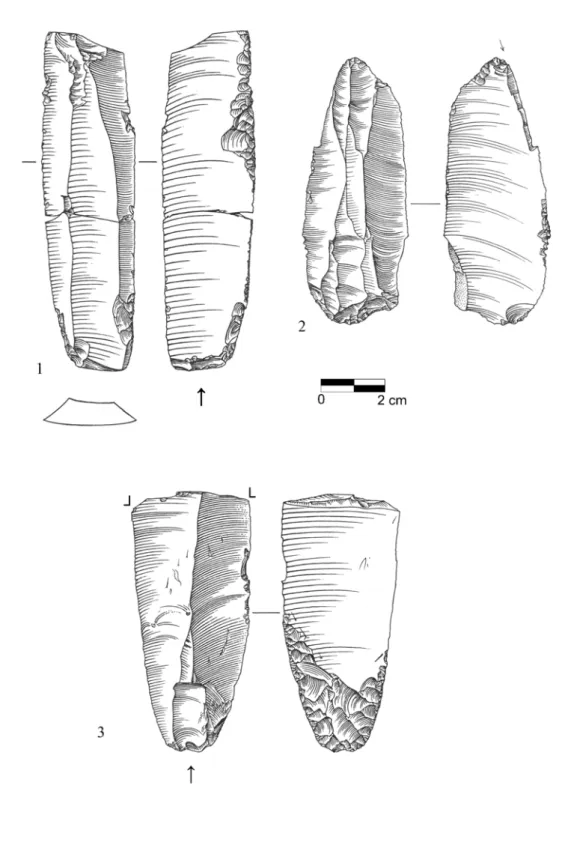 Fig. 6. —  Beedings. 1 : lame retouchée ; 2 : grattoir – burin sur troncature ;   3 : pointes de Jerzmanowice, avec « flûtage » (d’après Jacobi, 2007).