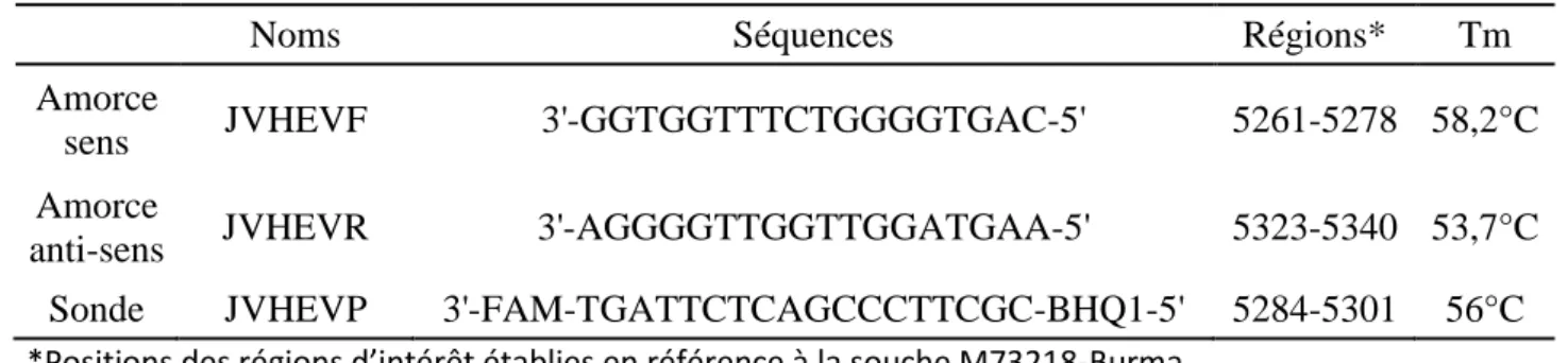 Tableau 3 : Séquences et caractéristiques des amorces et de la sonde utilisées. 