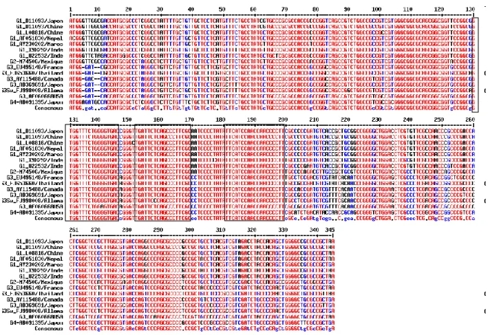 Figure 8 : Alignement des séquences correspondant à l’ORF3 du VHE pour différents génotypes