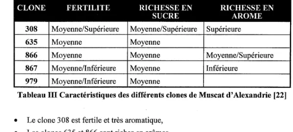 Tableau III Caractéristiques des différents clones de Muscat d'Alexandrie [22] 