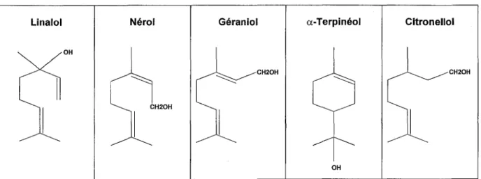 Figure 5 Molécules responsables en majeure partie de l'arôme de Muscat 