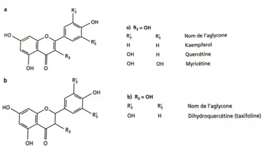 Figure 29 : les liaisons O-hétérosidiques des flavonoïdes  64