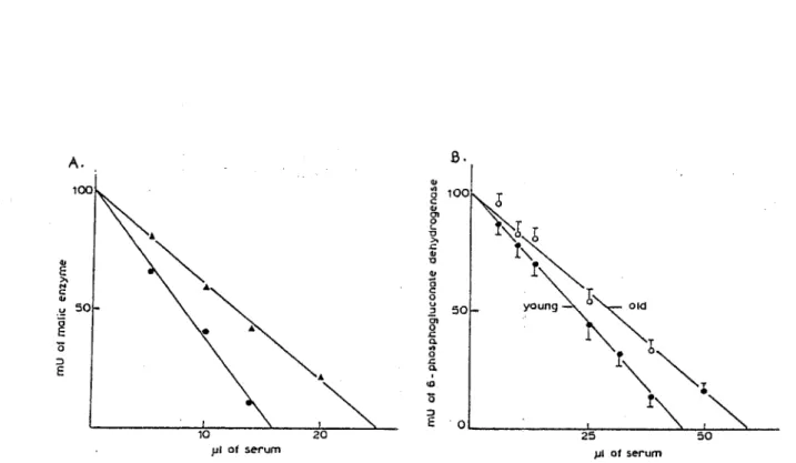 Figure  9  :  Perte  d'activité  de  l'enzyme malique  et  de  la  G6PD  avec  l'âge. 