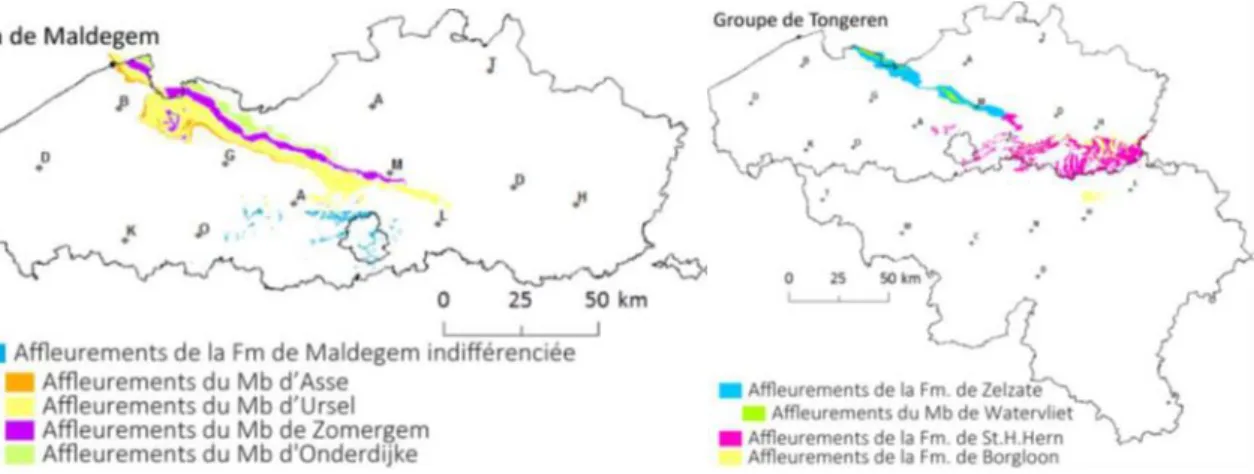 Fig.  41.  Localisation  des  zones  d’affleurement  des  Formations  de  Kortrijk  et  Gentbrugge  (Rekk, 2014)