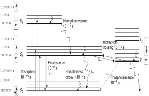 Figure 10. Jablonski diagram showing different states and transitions (Modified from Ref