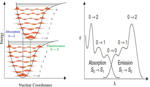 Figure 11. Potential energy curves and vibronic structures of fluorescence spectra  (Modified from Ref