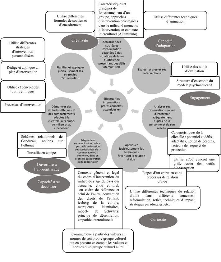 Figure 4 Schéma intégrateur Effectuer les interventions professionnelles attendues en TES Actualiser des stratégies d’intervention adaptées à des situations de la vie quotidienne présentant des défis 