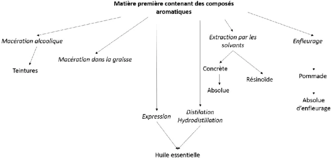 Figure 5 : Différents extraits aromatiques obtenus à partir de matières végétales 
