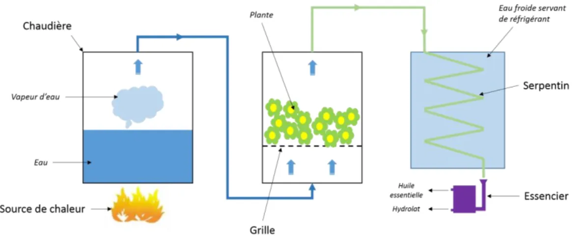 Figure 7: Schéma d'une installation d'entrainement à la vapeur  