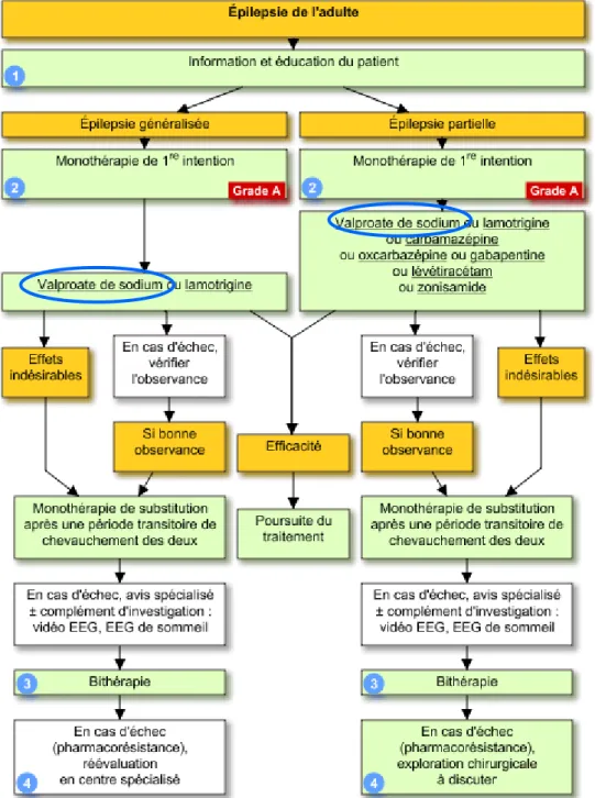 Figure 2 Arbre décisionnel dans l'épilepsie de l'adulte (13) 