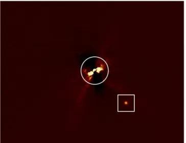 Fig. 7: Final NACO image in J-band after substraction of a me- me-dian PSF and de-rotation of the field