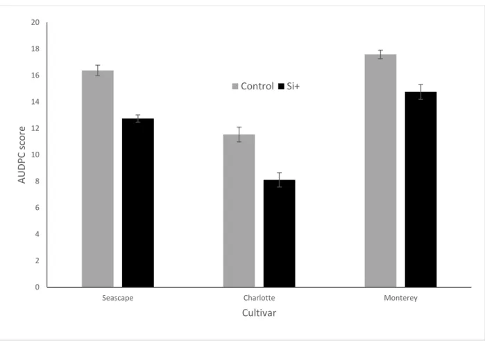 Figure 4: AUDPC scores of Podosphaera. aphanis on strawberry leaves of plants treated  with  or  without  potassium  silicate  in  a  high  tunnel  commercial  setting  (Summer  2014)