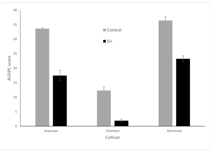 Figure 5: AUDPC scores of Podosphaera. aphanis on strawberry fruits of plants treated with  or without potassium silicate in a high tunnel commercial setting (Summer 2014)