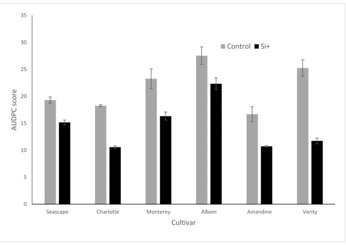 Figure 6: AUDPC scores of Podosphaera. aphanis on strawberry leaves of plants treated  with  or  without  potassium  silicate  in  a  high  tunnel  commercial  setting  (Summer  2015)