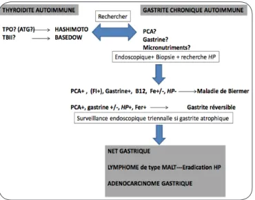 Figure 1. Diagnostic du syndrome thyro-gastrique.