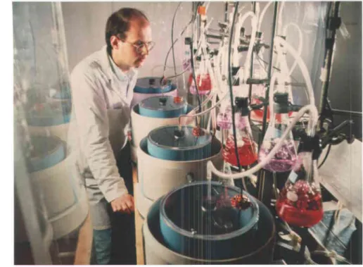 Fig.  3.1 : Montage  des composteurs  au laboratoire.