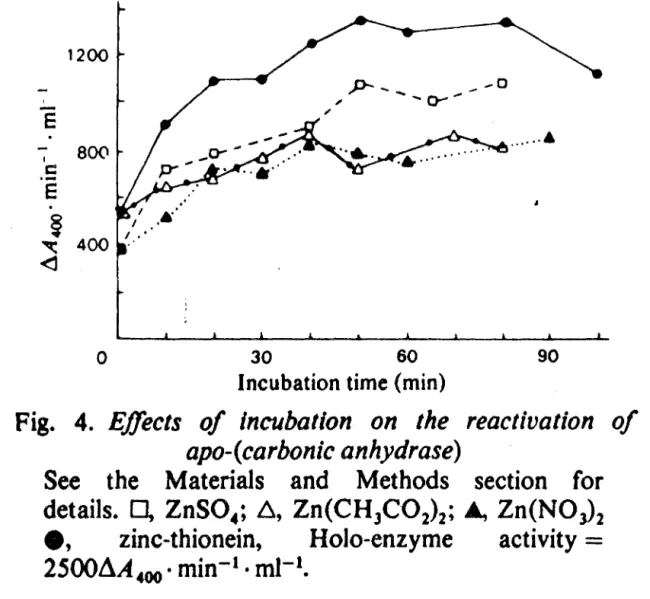 Fig.  4.  E.ffects  of  Incubation  on  the  reactivation  of  apo-(carbonic anhydrase) 
