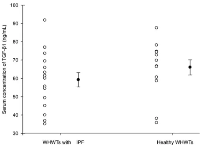 Fig 5. Serum transforming growth factor b 1 (TGF- b 1) concen- concen-tration measured by ELISA in West Highland white Terriers (WHWTs) with idiopathic pulmonary ﬁbrosis (IPF, n = 16) and in healthy WHWTs (n = 13)