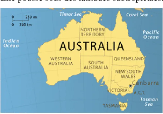 Figure n°1: carte d’Australie; Queensland et Nouvelle Galles du Sud à l’est, d’après  [90] 