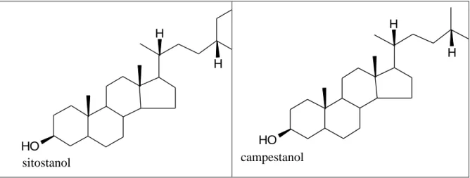 Figure n°26: teneur relative  en phytostérols de noix,  graines et produits dérivés  [β-sitostérol (S), campestérol 