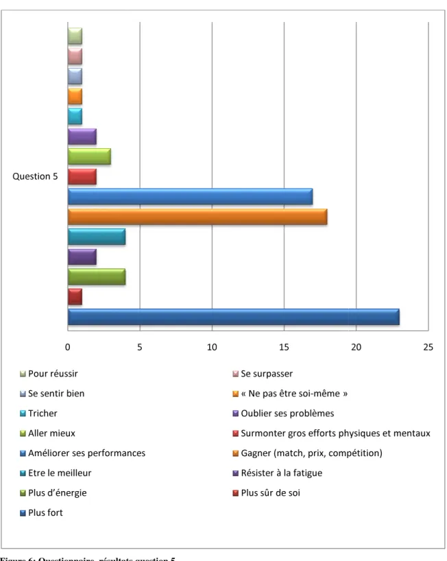 Figure 6: Questionnaire, résultats question 5