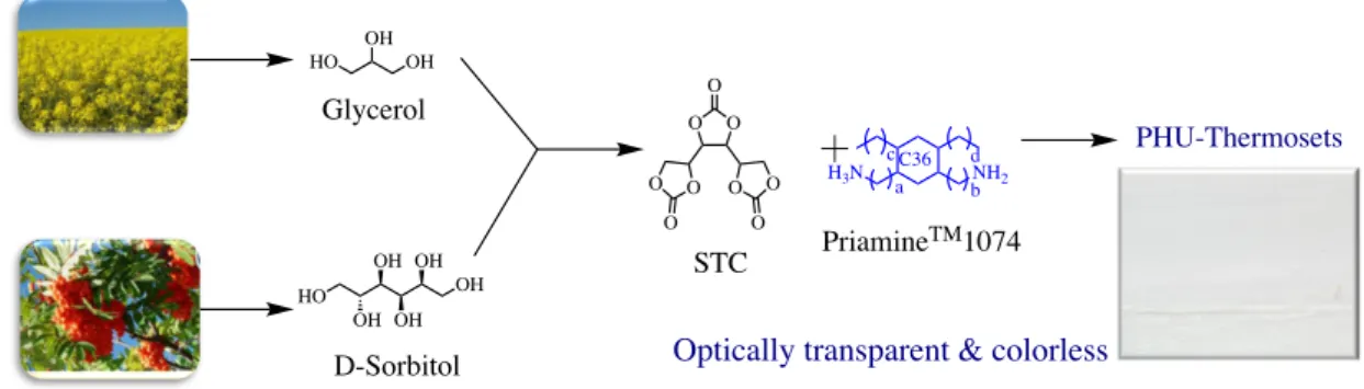 Figure 12. Synthesis of sorbitol-derived poly(carbohydrate-urethane) for optically transparent and  colorless coatings