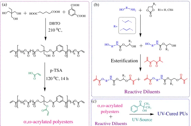 Figure  14.  (a)  Synthesis  of  acrylated  polyester  oligomer,  (b)  Synthesis  of  PHU-dimethacrylate  diluents  and  (c)  Preparation  of  UV-cured  PUs  from  α,ω-acrylated  polyesters  and  reactive  diluents
