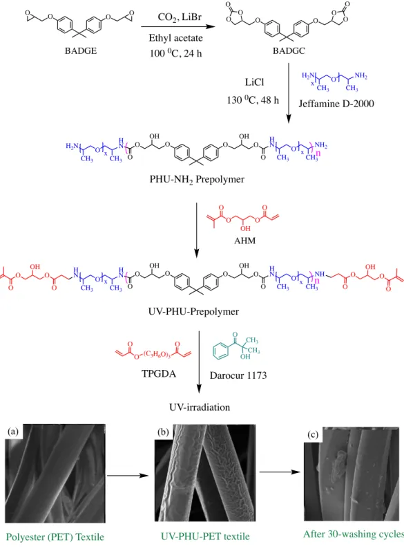 Figure 16. Synthesis of UV-curable poly(hydroxyurethane) prepolymers. SEM images (3000 x) of  (a)  Polyester (PET)  textile  surface,  (b) UV-PHU-coated textile  surface and  (c)  UV-PHU-coated  textile after 30 washing cycles with water