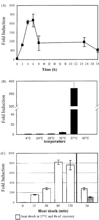 Fig. 1. Characterization of the EPCtiHSP70 cell line. (A) The cells were seeded in six-well plates and exposed to heat shock treatment for 1 h at 30  C and the luciferase activity in cell lysates was determined after various periods of time, as indicated