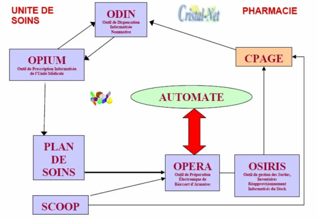 Figure I : Schéma d’organisation de l’informatisation 
