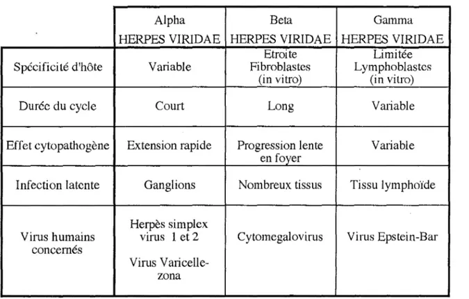 Tableau 1 :  Subdivision des Herpès virus d'après leurs propriétés biologiques  (ROIZMAN, 1982) 
