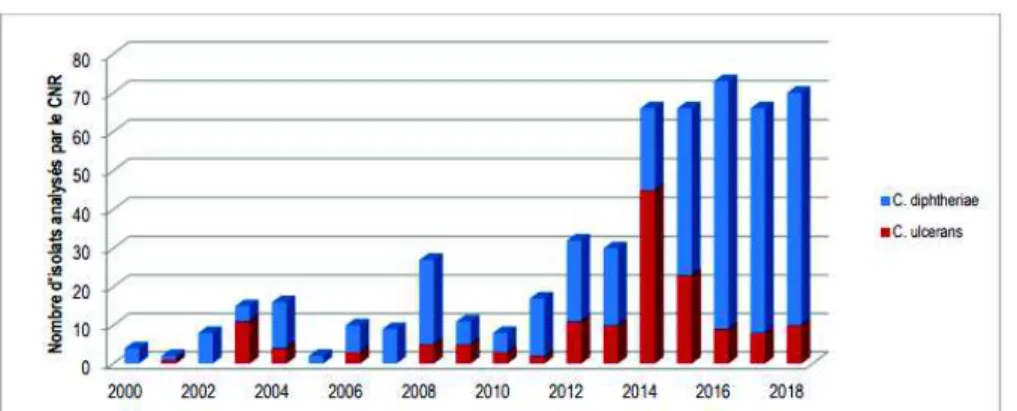 Figure 10 : Nombre d’isolats analysés au CNR entre 2000 et 2018. (CNR des Corynebactéries  du complexe diphtheriae 2019)