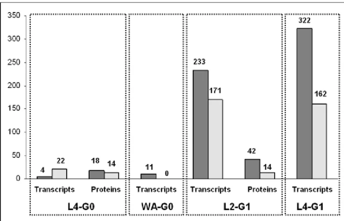 Table 1: Induction of sexual morphs across 2 generations.
