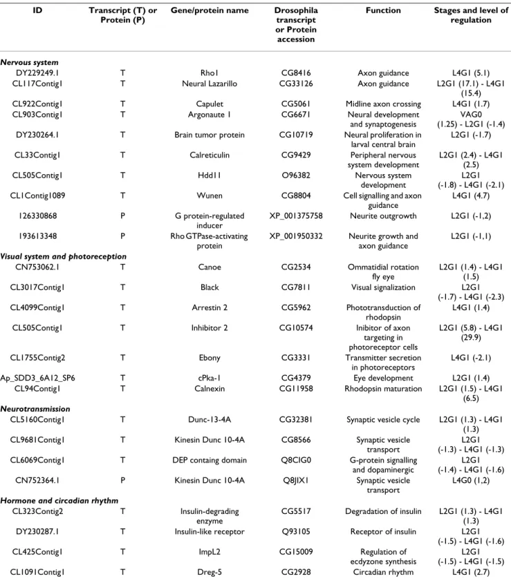 Table 2: List of regulated transcripts and proteins sharing homologies with proteins involved in signalization and nervous or visual  system.