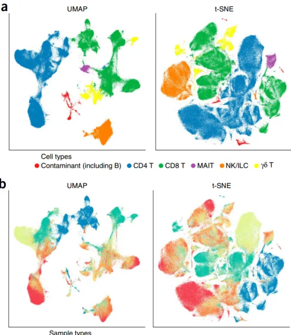 Figure 19: UMAP and t-SNE (from Becht et al, 2019) . These non-linear dimensional reduction methods are used to distribute cells into a two-dimensional embedding