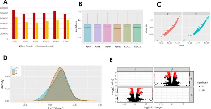 Figure 2.  RNA-Seq data quality check and efficiency of mapping with G. arboreum genome