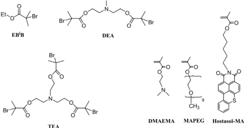 Figure 1. Alkylbromide (multi)functional initiators and methacrylate monomers used for the (co)polymers preparation.