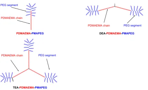 Figure 2. Schematic representation of palm-tree-like co-polymers. This figure is published in colour in the online edition of this journal, which can be accessed via http://www.brill.nl/jbs