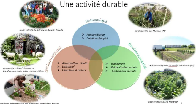 Figure 11 : Synthèse des avantages de l'agriculture urbaine, source : Bureau d'études IETI 