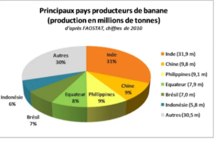 Figure 4 : Principaux pays producteurs de bananes   Chiffres Faostat 