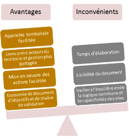 Figure 5 : Schéma présentant les avantages et les inconvénients d’un plan de gestion « multi-sites » 