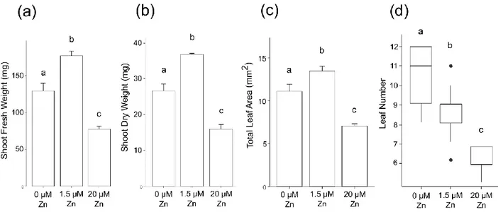 Figure  2.  Shoot  phenotype  of  Brachypodium  plants  upon  zinc  deficiency  and  excess
