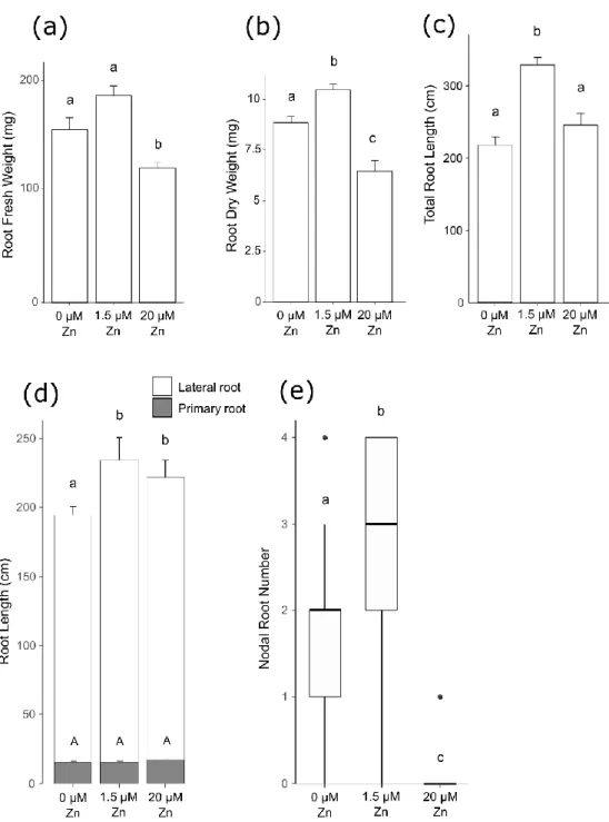 Figure 3. Root phenotypic measures of Brachypodium plants under three weeks of zinc treatments