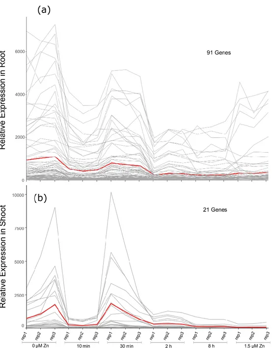 Figure  8.  Clustering  of  gene  expression  upon  zinc  deficiency  and  resupply  in  Brachypodium