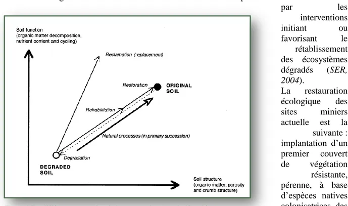 Figure 2 Les différentes approches de la restauration des sols dégradés en  exploitation minières (Bradshaw, 1992)