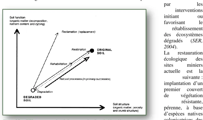 Figure 2 Les différentes approches de la restauration des sols dégradés en  exploitation minières (Bradshaw, 1992)